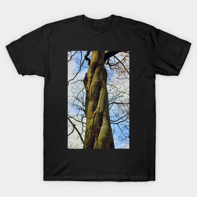 Twisted tree trunk T-Shirt by avrilharris